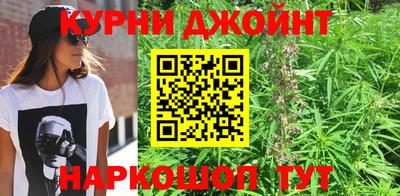 стаф Кунгур