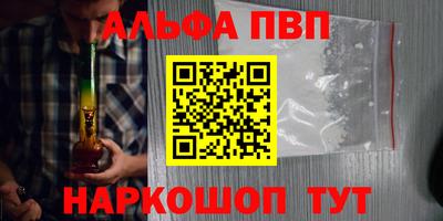 стаф Кунгур