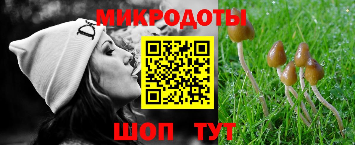 Киселёвск  Галлюциногенные грибы Psilocybe  Вход с VPN 